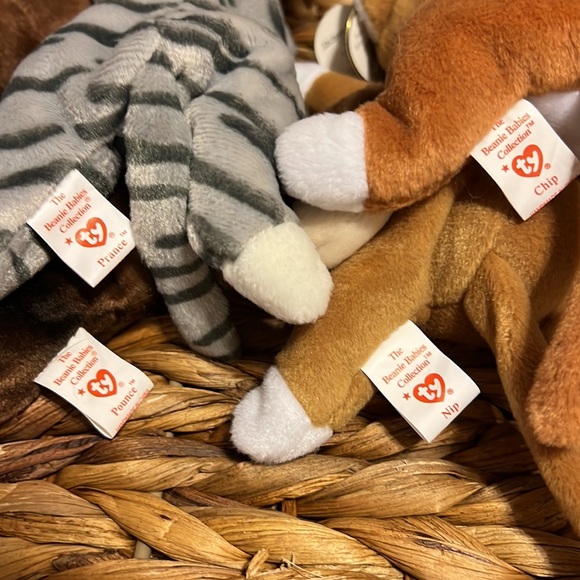 Vintage TY Beanie Baby Cats Prance, Pounce, Chip, Nip - Picture 6 of 6